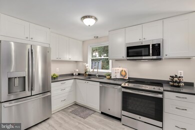 6502 Cockerille Ave, Takoma Park, MD 20912 - photo 5