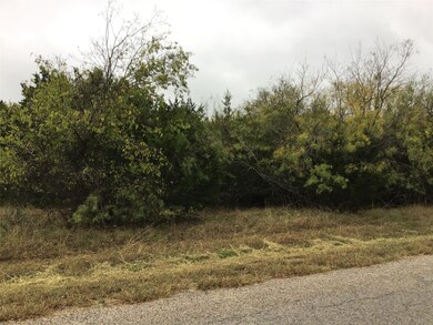 12110 Oak Dale Dr, Whitney, TX 76692 - photo 5