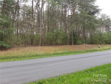 2135 Southpoint Ln unit 59, New London, NC 28127 - photo 4