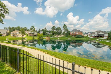 View from your Back Yard