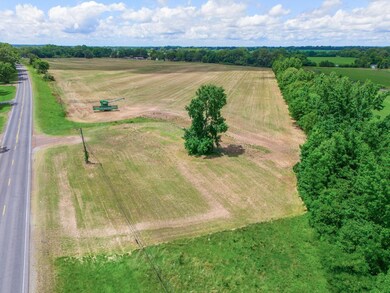 Drone / aerial view featuring a rural view