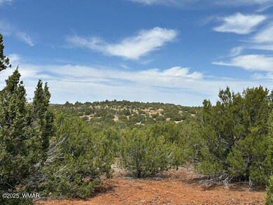 50 County Rd, Concho, AZ 85924 - photo 3