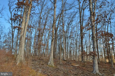 LOT 29 Comforter Ln, North River, VA 22645 - photo 4