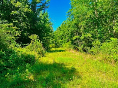 TBD Lewis Ln, Gloster, MS 39638 - photo 3