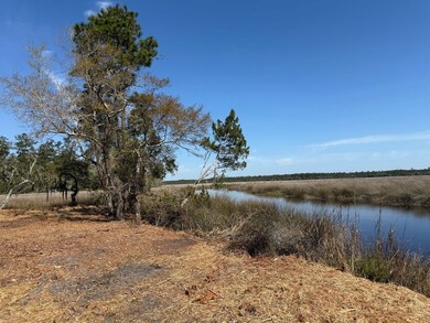 US Highway 17 unit Sanderling Trace, Waverly, GA 31565 - photo 4