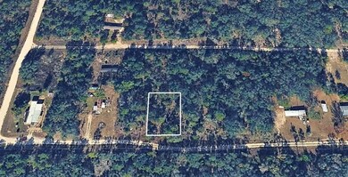 0 NE 64th Place unit MFRTB8453106, Williston, FL 32696 - photo 6