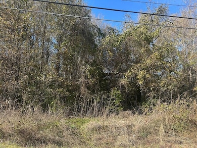 Hill 03
