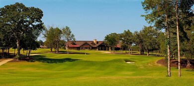 81 Pronghorn Dr, Gordonville, TX 76245 - photo 4