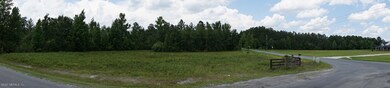 0 Sauls & Musslewhite Rd unit 1115196, Callahan, FL 32011 - photo 3