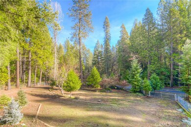 18178 Challenge Cut Off Rd, Forbestown, CA 95941 - photo 4