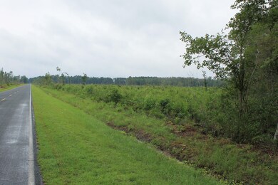 South parcel