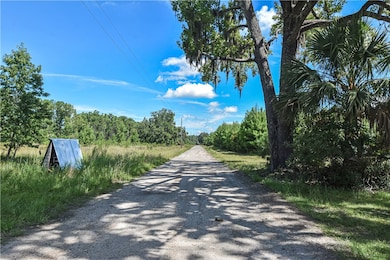 415 + lots 350,370 Jenkins Farm Rd, Brunswick, GA 31523 - photo 6
