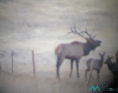 000 Ice Caves Rd, Grants, NM 87020 - photo 5