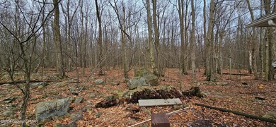 1135 Country Place Dr, Tobyhanna, PA 18466 - photo 3