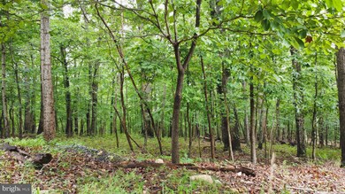 64 Brandy Rd, Front Royal, VA 22630 - photo 4