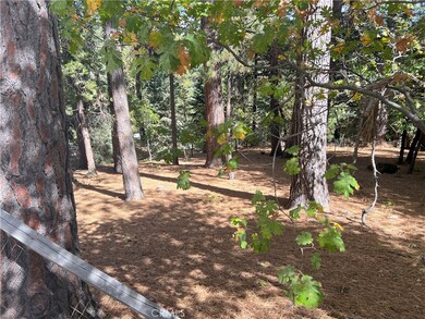 2481 Whispering Pines Dr, Running Springs, CA 92382 - photo 3