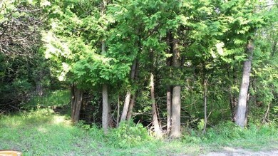 40 A King's Hwy, Beaver Island, MI 49782 - photo 5