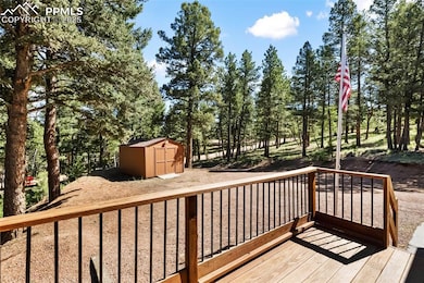 234 Wasatch Ln, Florissant, CO 80816 - photo 6