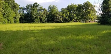 208 Feagin Mill Rd, Warner Robins, GA 31088 - photo 2