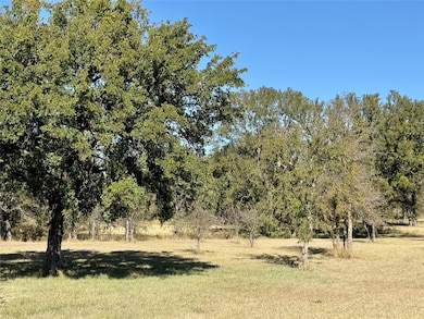 170 Sendera Dr, Early, TX 76802 - photo 2