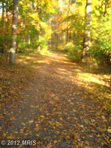 12912 Mount Royal Ln, Fairfax, VA 22033 - photo 4