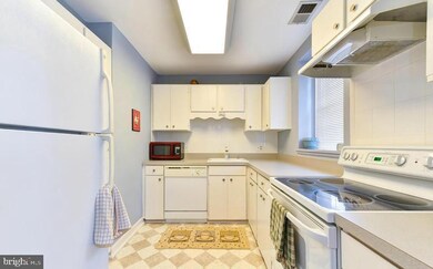 2932 S Columbus St unit C2, Arlington, VA 22206 - photo 2