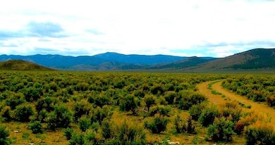 Nv 399, Lovelock, NV 89419 - photo 7