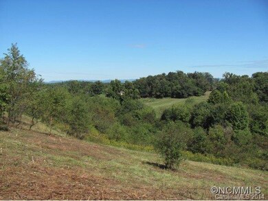 000 Dix Creek Chapel Rd, Asheville, NC 28806 - photo 3