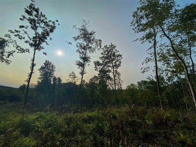 00 Hill Rd unit M:12 B10 L:B, Alstead, NH 03602 - photo 7