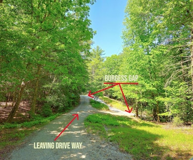 5.23acs Burgess Gap Rd, Morganton, GA 30560 - photo 3