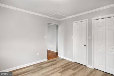 260 Aileen Ave, Strasburg, VA 22657 - photo 4