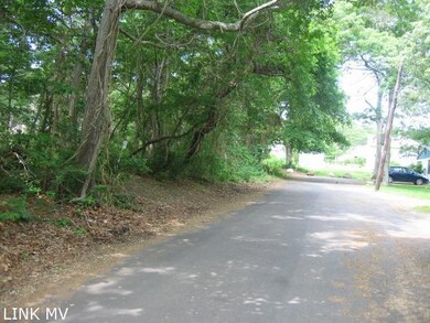 0 Locust Ln, Tisbury, MA 02568 - photo 5