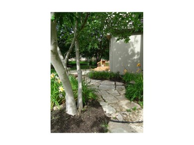 Back Yard Landscaping