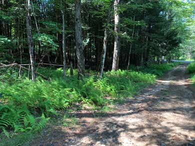 L203 Shippee Rd, Day, NY 12822 - photo 2