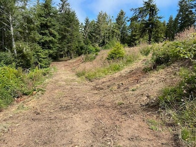 12.3 Acres Splinter Ln, Arcata, CA 95521 - photo 4