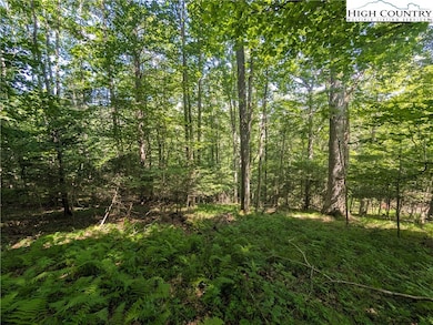 Tbd Sharon Sweeney Rd, Crumpler, NC 28617 - photo 3