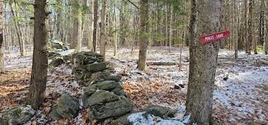 430 E Side Trail, Oakland, ME 04963 - photo 5