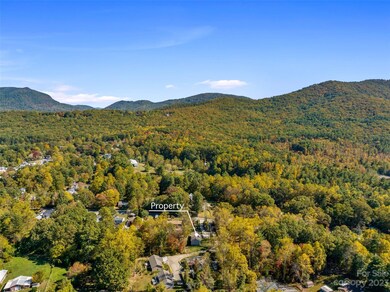 519 Onteora Blvd, Asheville, NC 28803 - photo 4