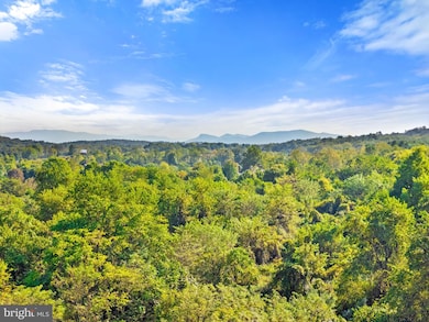 0 Cedar Creek Grade unit VAFV2036934, Winchester, VA 22602 - photo 6