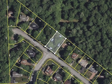 B13 Forest Dr Aerial Map