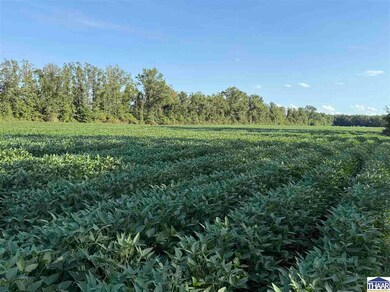 16100 +/- S All, Pimento, IN 47866 - photo 7