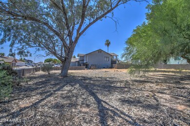 Lot 1