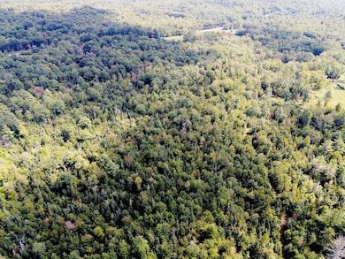 TM 48 L 125/56 Phelps Rd, Springfield, NH 03284 - photo 3