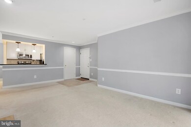 3313 Sir Thomas Dr, Silver Spring, MD 20904 - photo 6