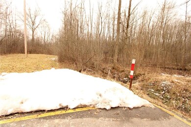 0 Smith St unit 4352507, Oberlin, OH 44074 - photo 2