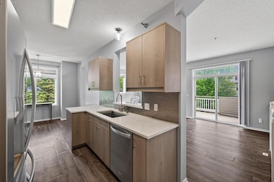 Lots of Natural Light - Kitchen Opens to the Living Room