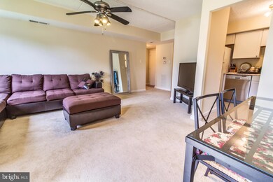 5804A Village Green Dr, Alexandria, VA 22309 - photo 3