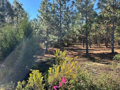 10 +-ac,Lot 1PL Cty Rd 140 Cty Rd 141, Headland, AL 36345 - photo 6