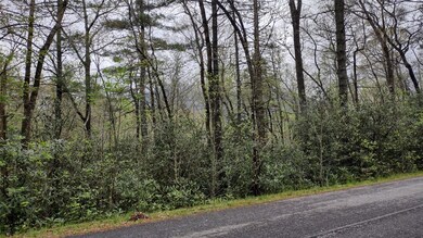 Lot view from Garnet Hill Ln