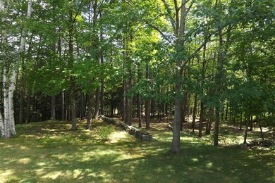 163 Patch Rd, Henniker, NH 03242 - photo 7